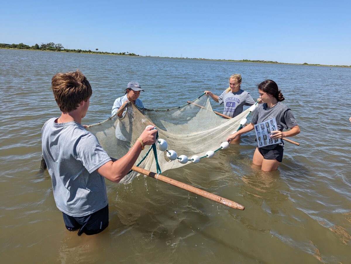 Students are holding a net while standing waist deep in water.