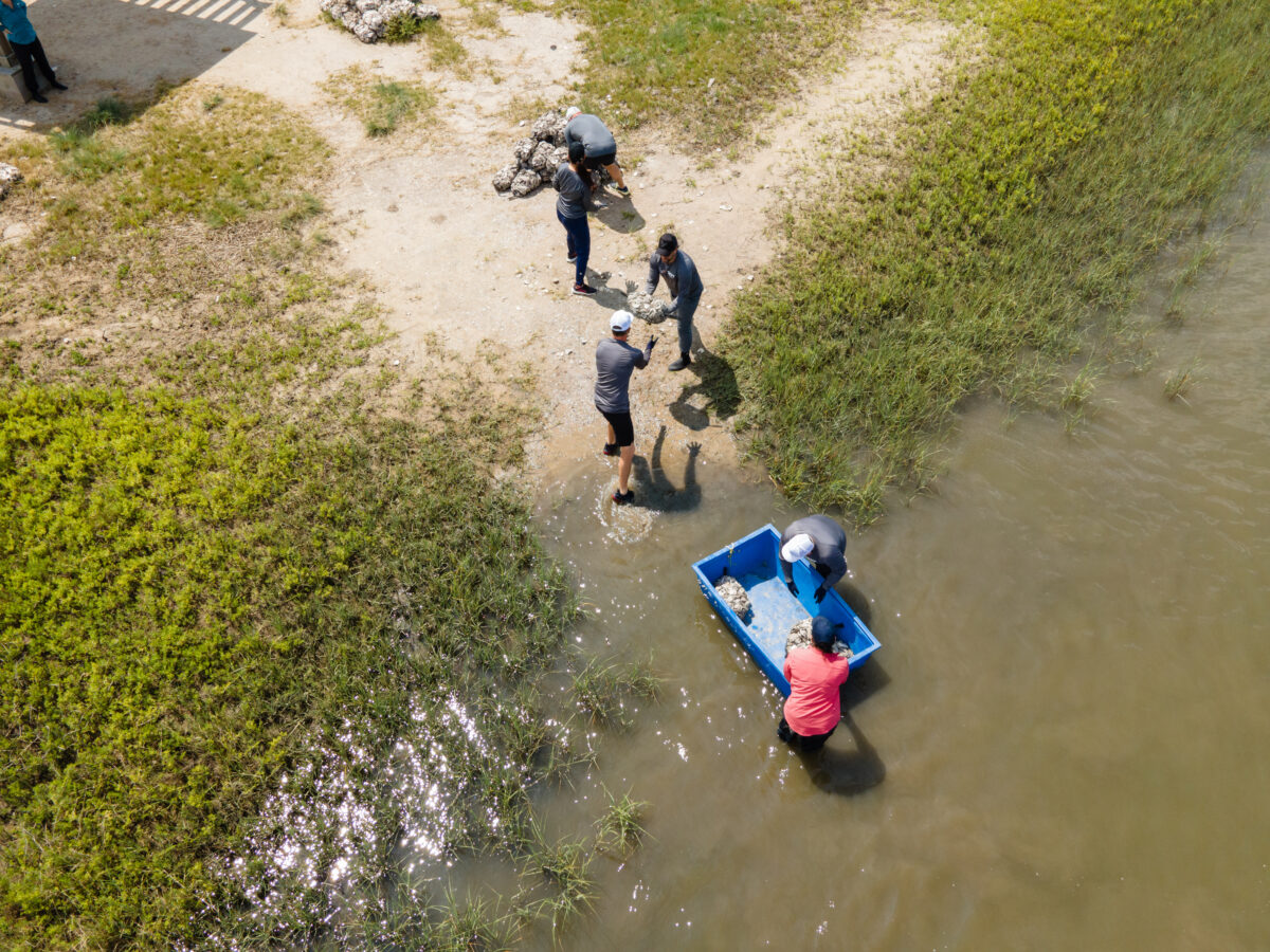 Bird's eye view of six people working to recycle oysters in the Galveston Bay.
