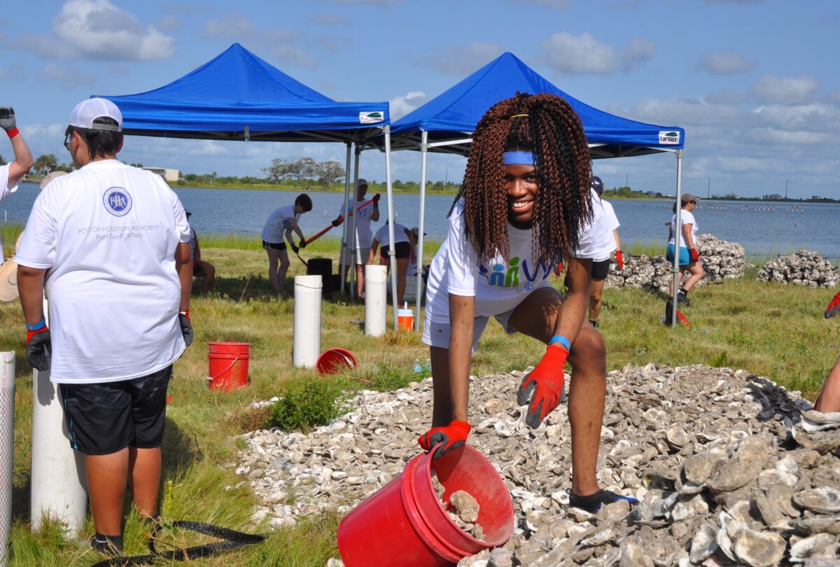 A person with a bucket collected oyster shells.