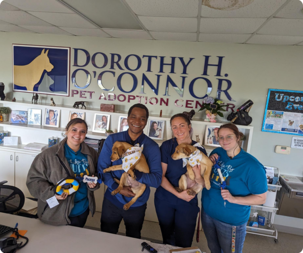 A male Del Papa Distributing marketing manager and three female DOPAC employees pose with shelter animals at the DOPAC center.