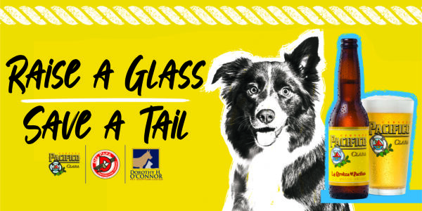 Read more about the article Raise a Glass, Save a Tail – How Your “Cheers!” Means Change for Animals in Need