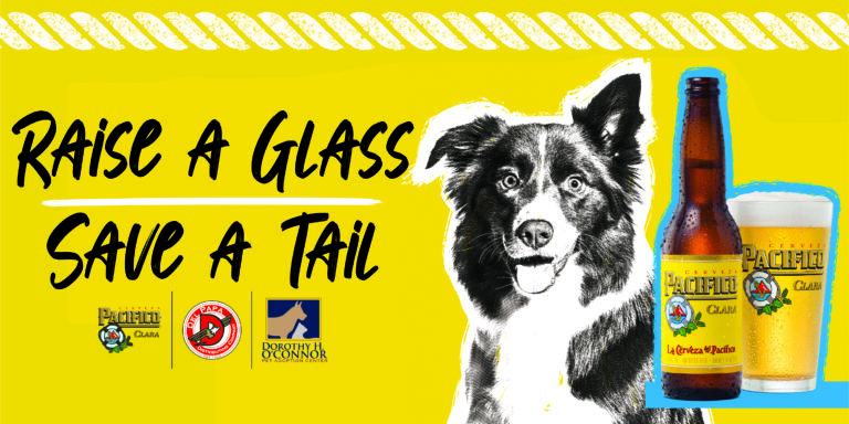 Raise a Glass, Save a Tail – How Your “Cheers!” Means Change for Animals in Need